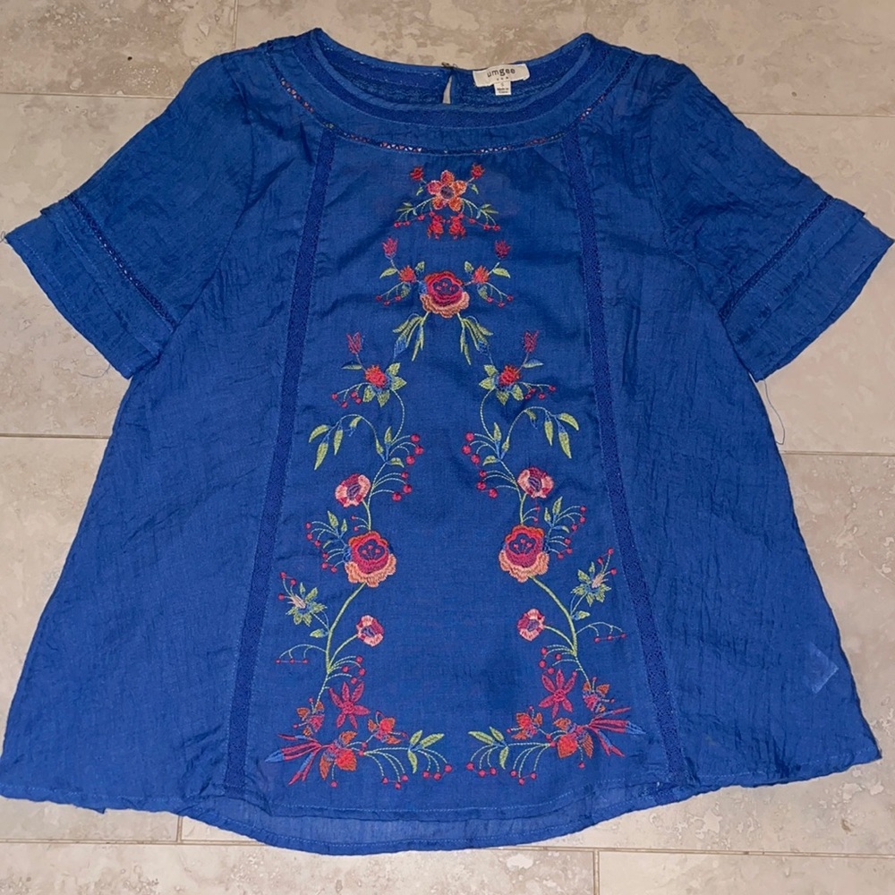 Blue embroidered top
